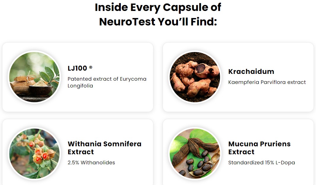 NeuroTest ingredients